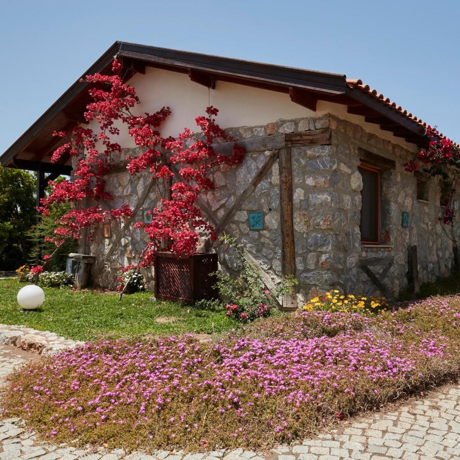 Flow Datca Surf & Beach Hotel Exterior foto